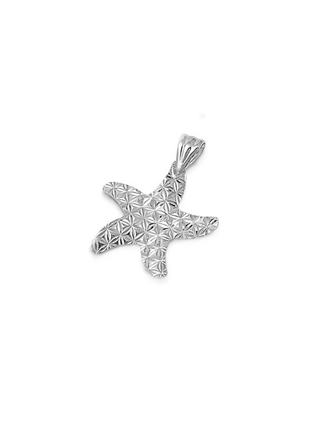 PENDENTIF mixte Étoile argent 925