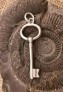 Joli Pendentif mixte Clef Porte Bonheur Argent 925