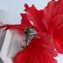 AGNES CREATIONS / BAGUE OUVRANTE POISON SECRET ARGENT 925 & CITRINE TAILLE 57-58